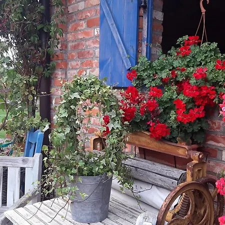 Siedlisko Nad Miedwiem Stargard Szczeciński