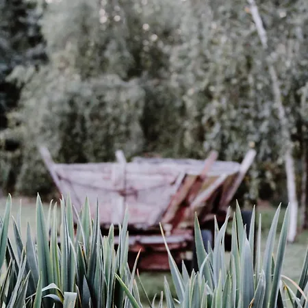 Siedlisko Nad Miedwiem 3*