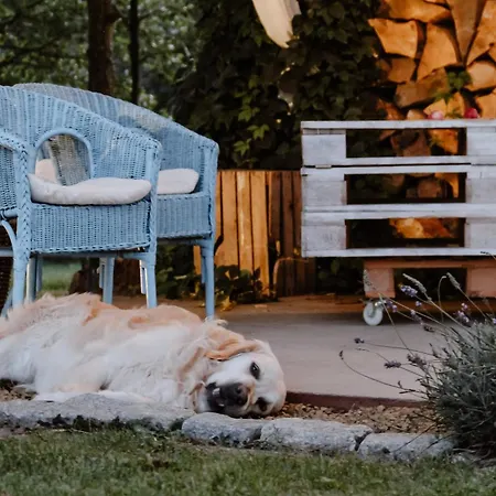 Siedlisko Nad Miedwiem