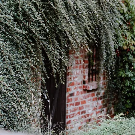 Siedlisko Nad Miedwiem Stargard Szczeciński