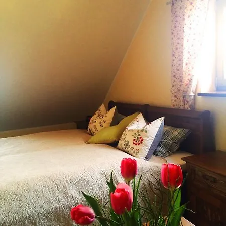 ベッド・アンド・ブレックファスト Siedlisko Nad Miedwiem