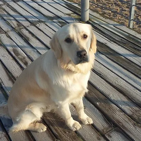 Siedlisko Nad Miedwiem ベッド・アンド・ブレックファスト 3*