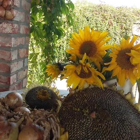 Siedlisko Nad Miedwiem ベッド・アンド・ブレックファスト