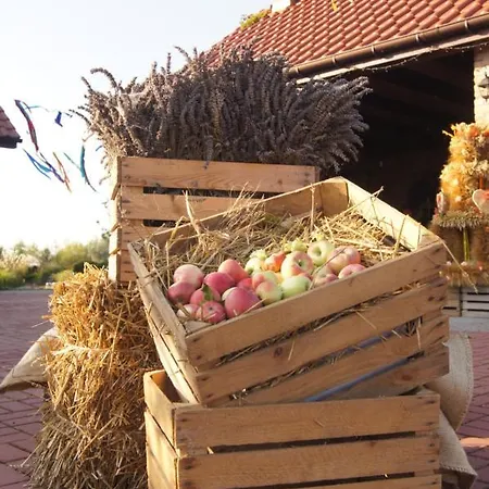 ベッド・アンド・ブレックファスト Siedlisko Nad Miedwiem 3*