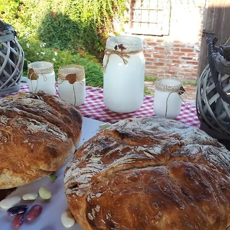 Siedlisko Nad Miedwiem ベッド・アンド・ブレックファスト 3*