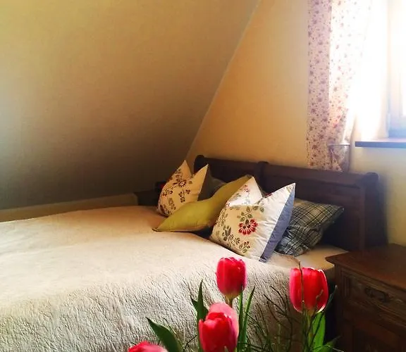 Bed & Breakfast Siedlisko Nad Miedwiem